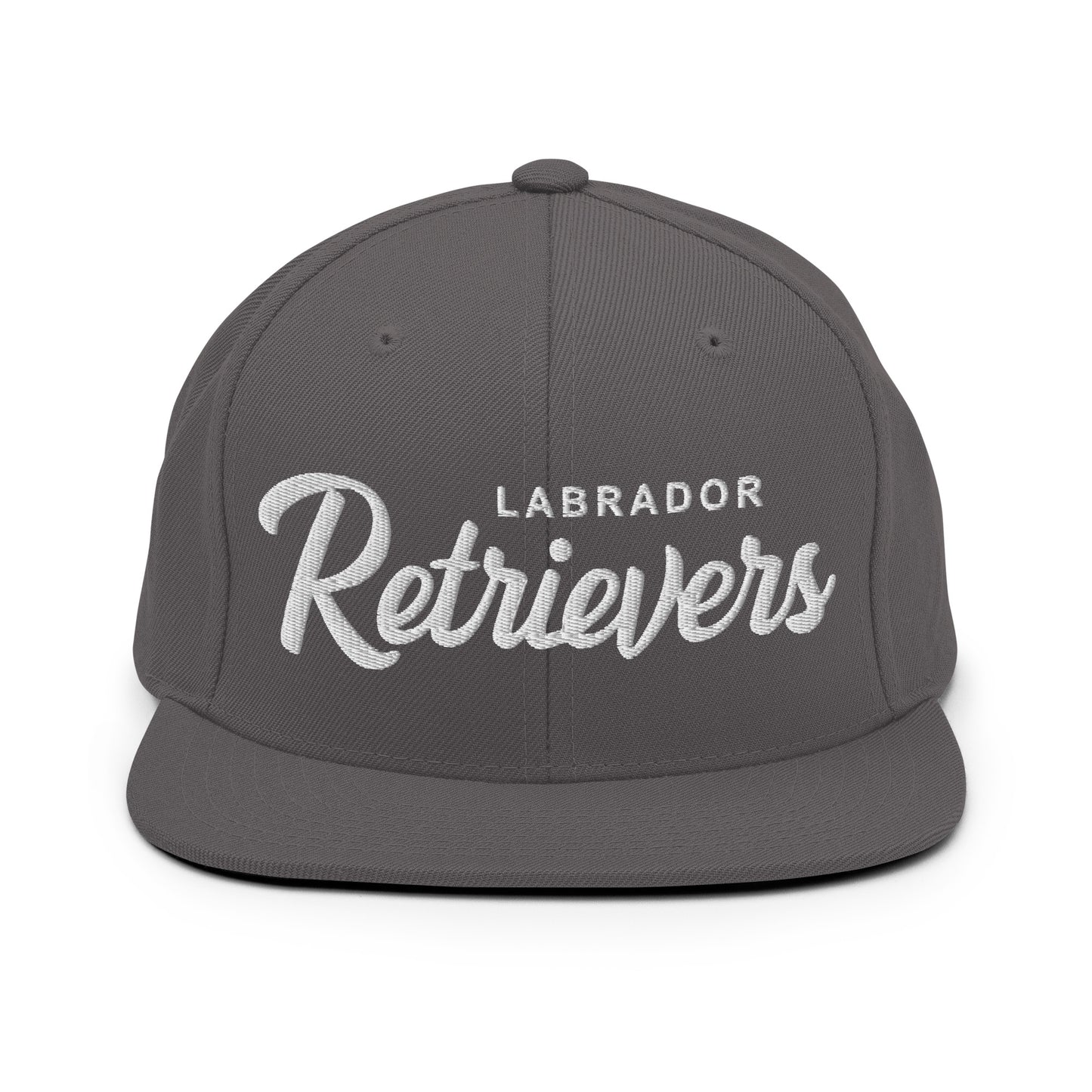 LABRADOR Retrievers Retro Snapback, Embroidered Print