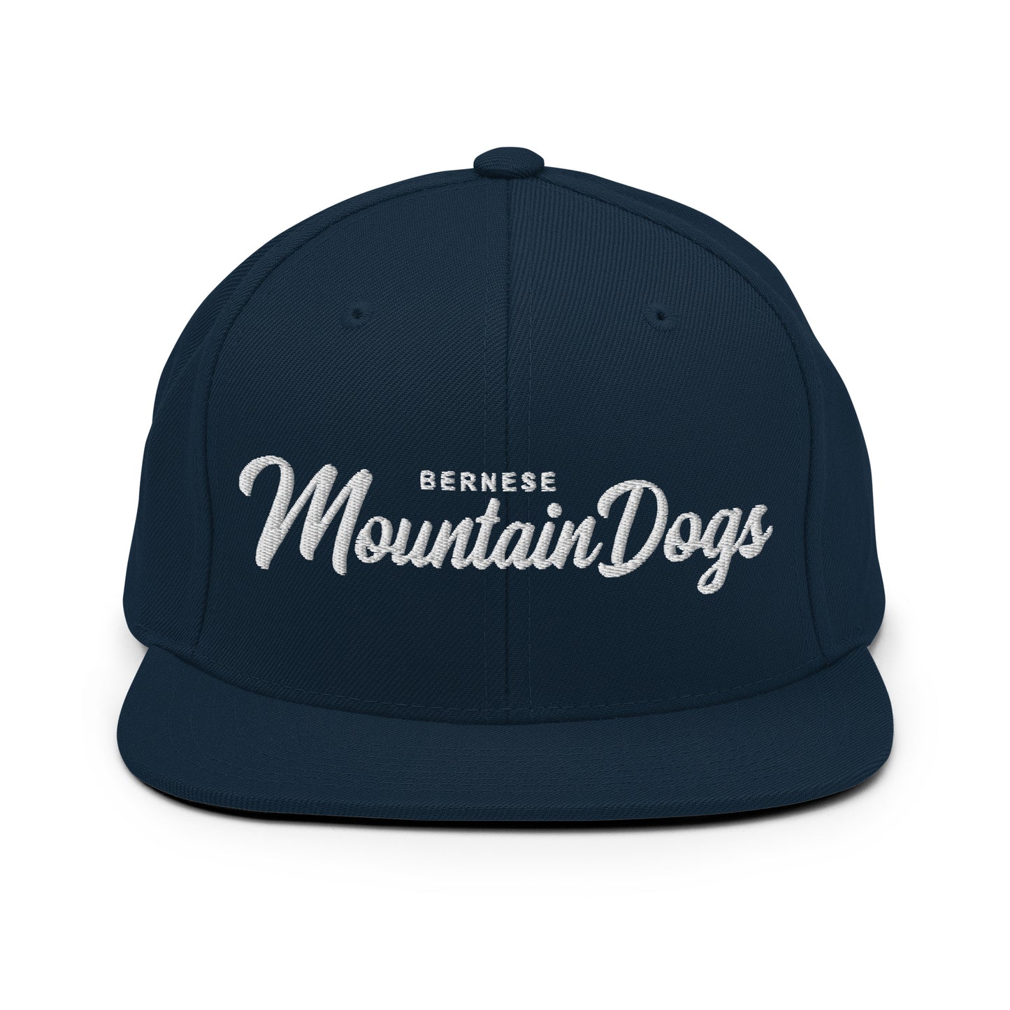 Bernese Mountain Dogs Retro Snapback, Embroidered Print