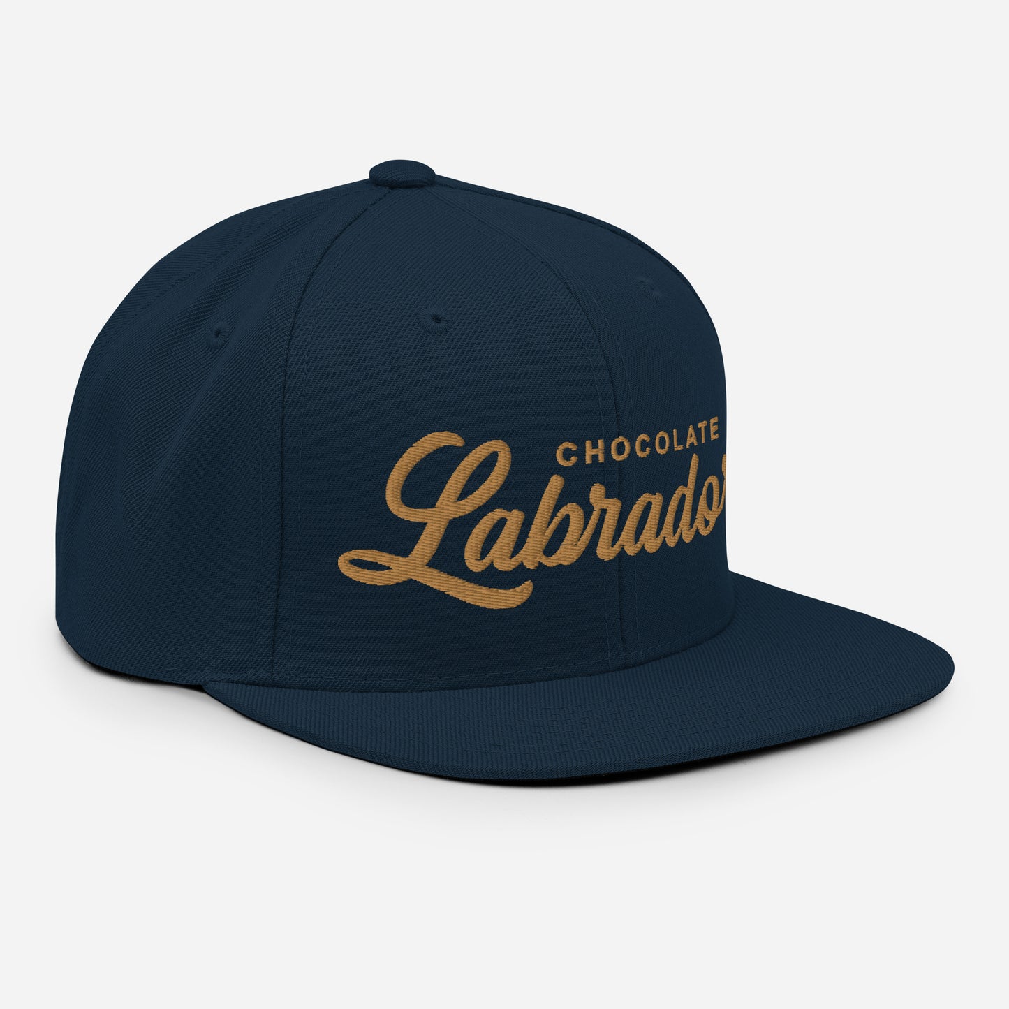 CHOCOLATE Labradors Retro Snapback, Embroidered Print
