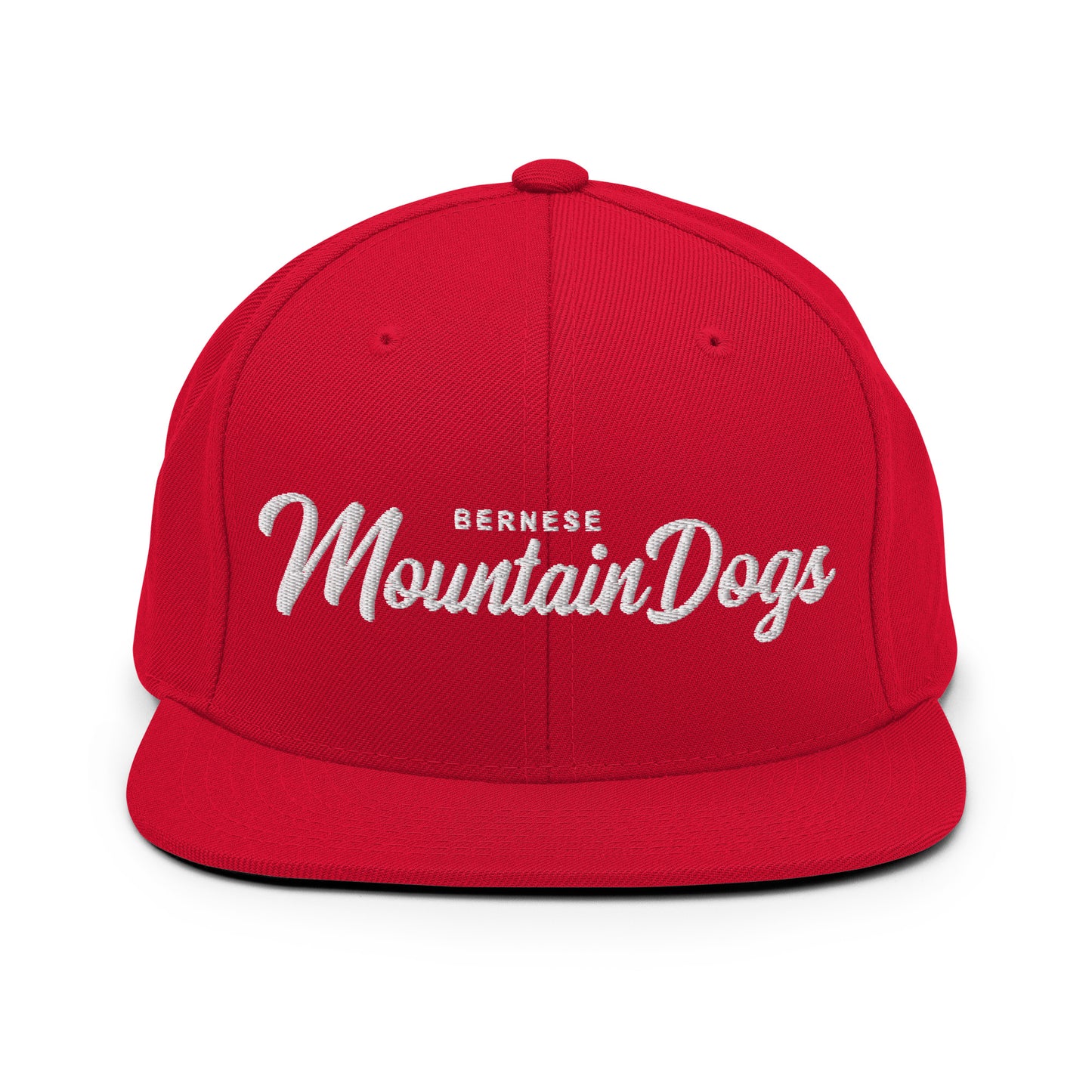 Bernese Mountain Dogs Retro Snapback, Embroidered Print