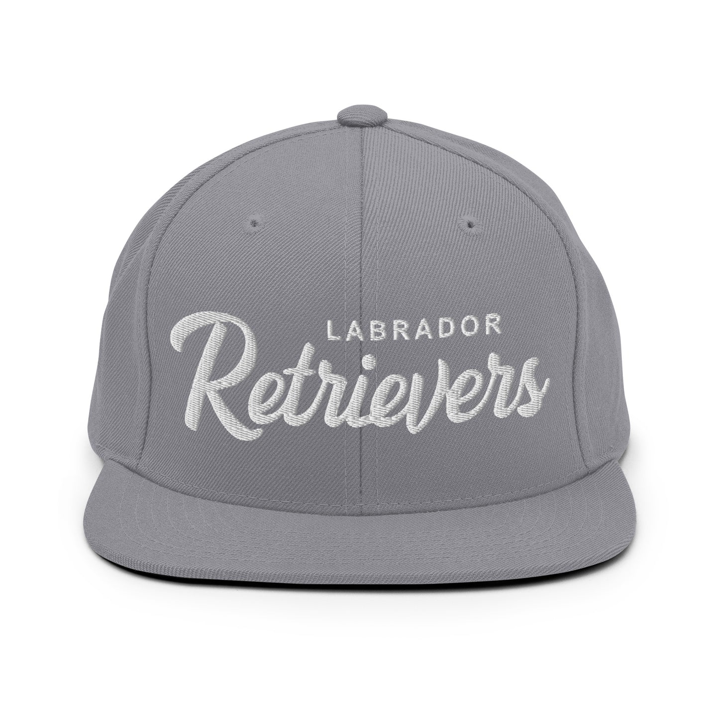 LABRADOR Retrievers Retro Snapback, Embroidered Print