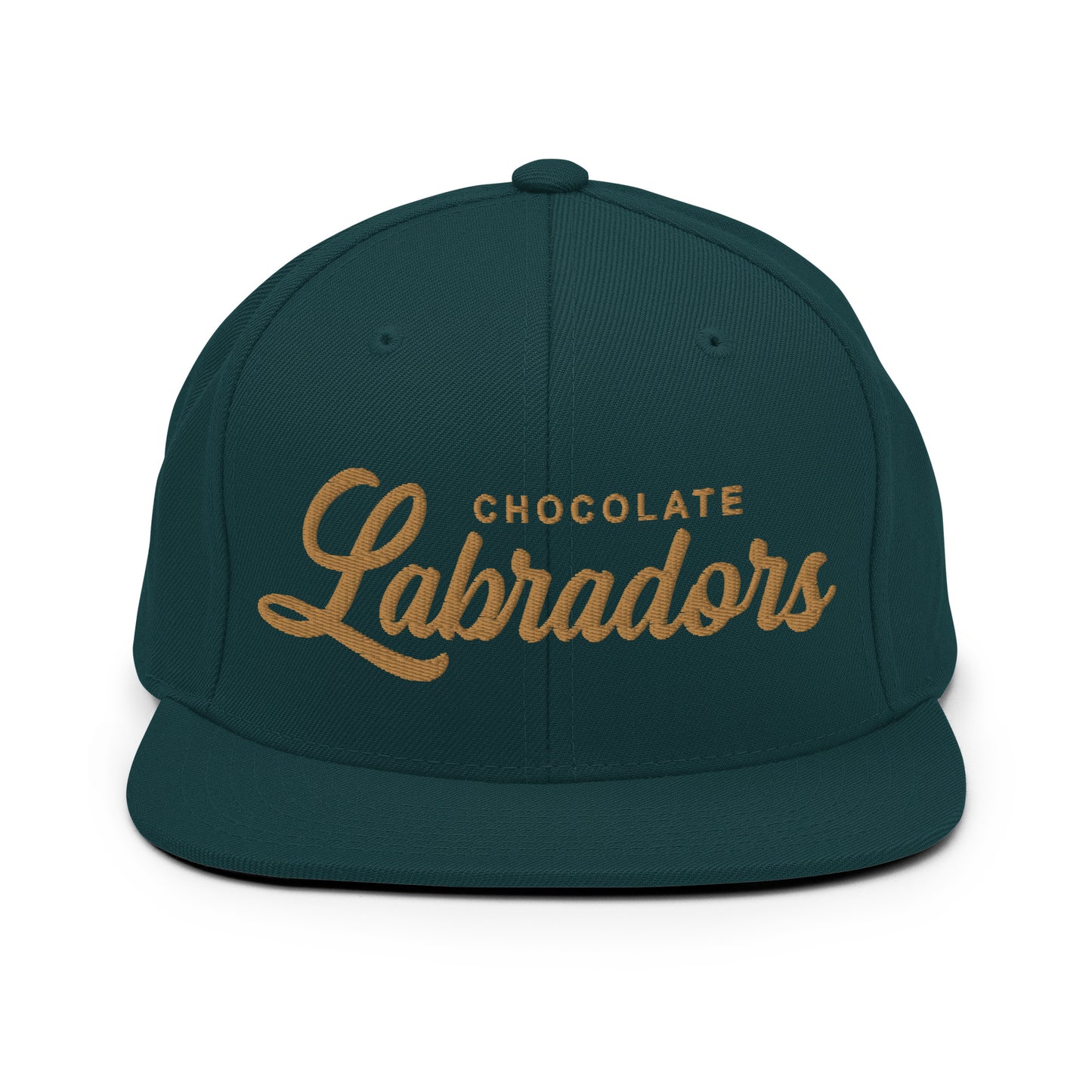 CHOCOLATE Labradors Retro Snapback, Embroidered Print