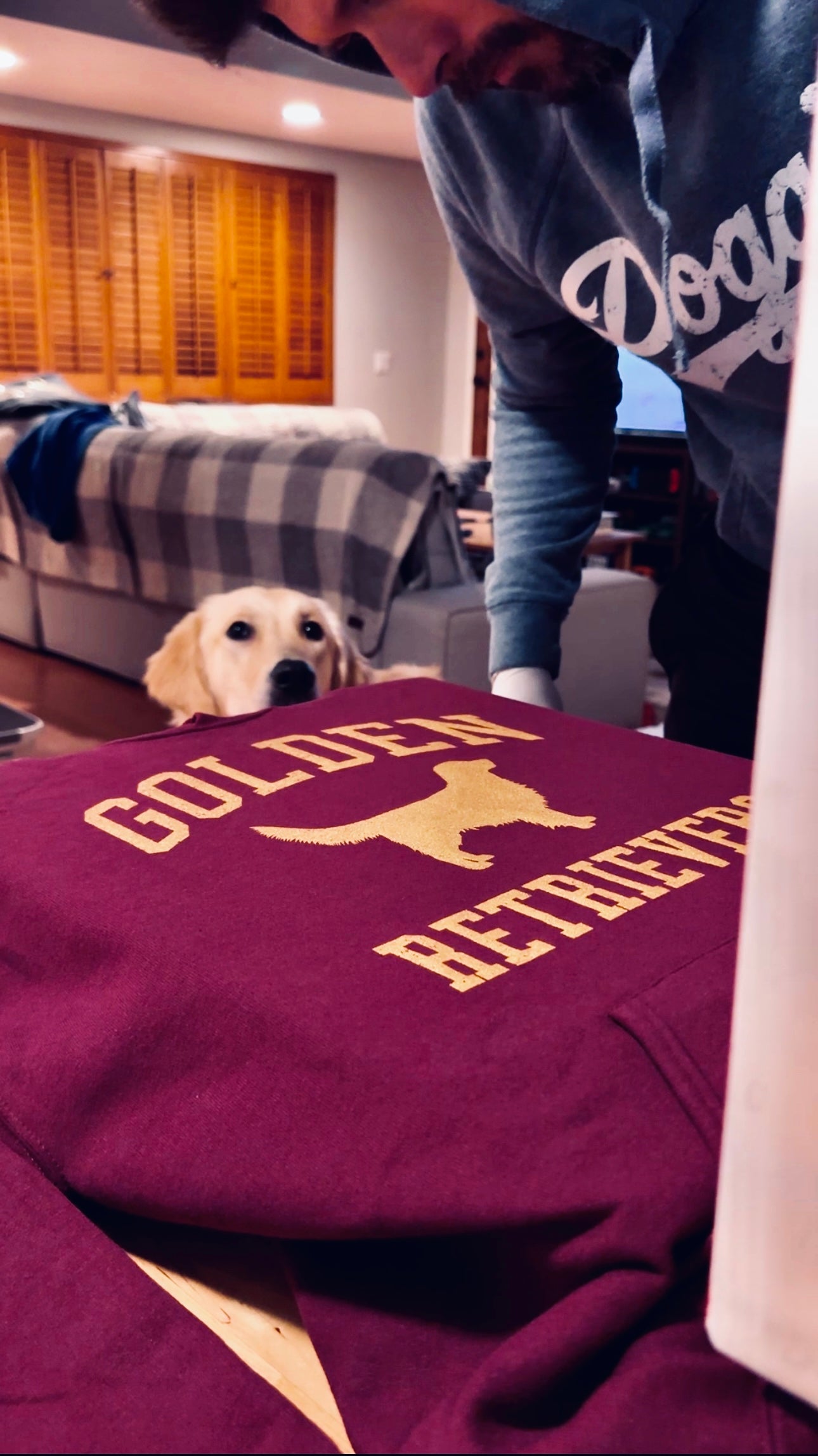 Golden Retrievers Collegiate Hoodie, Burgundy with Distressed Gold Print