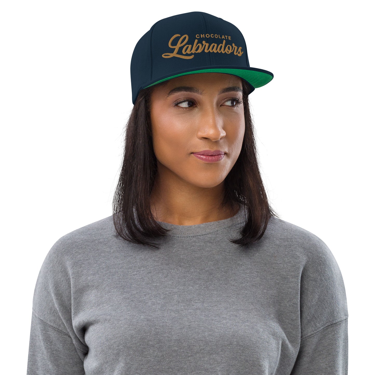 CHOCOLATE Labradors Retro Snapback, Embroidered Print