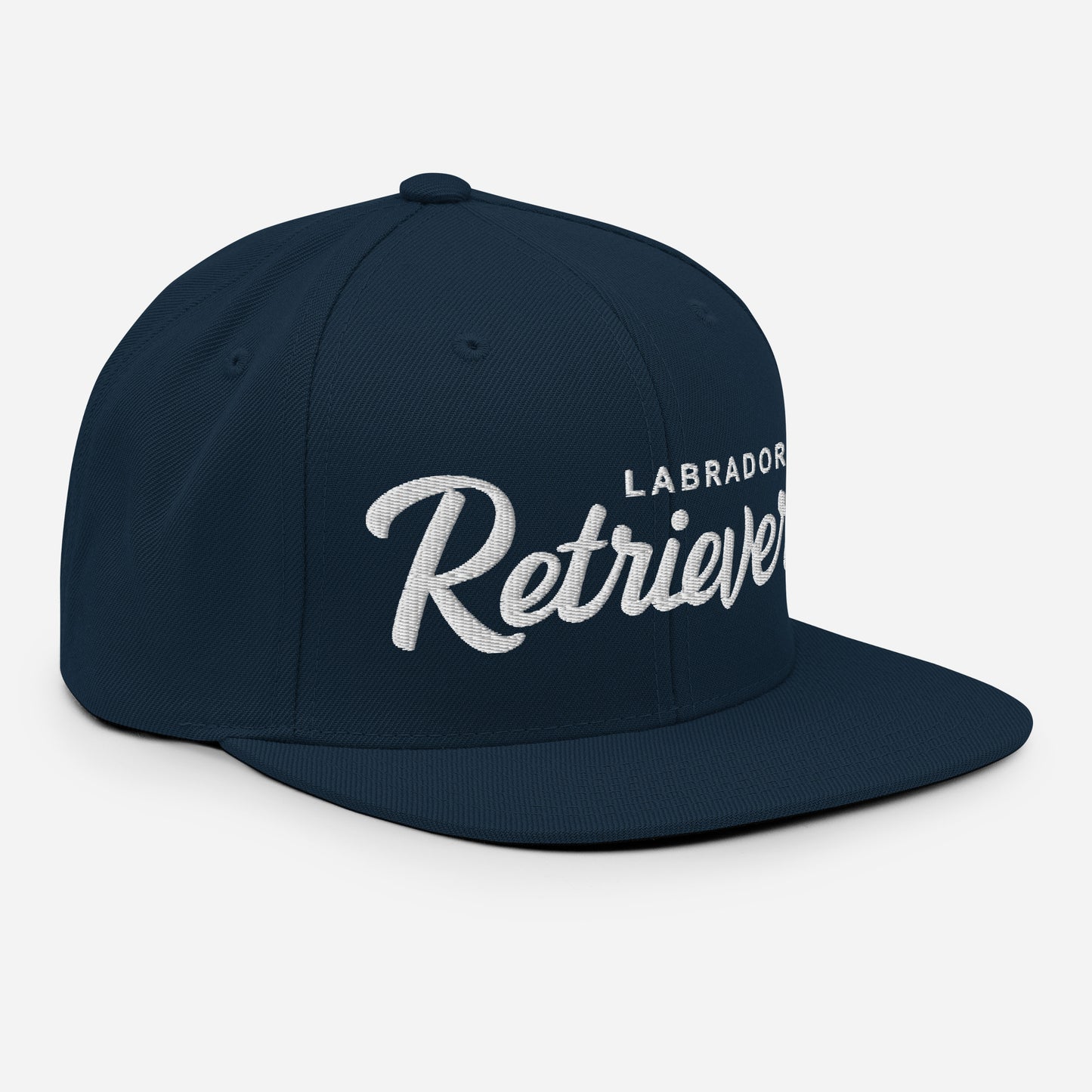 LABRADOR Retrievers Retro Snapback, Embroidered Print