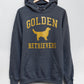 Golden Retrievers Collegiate Hoodie, Dark Heather Gray with Distressed Gold Print